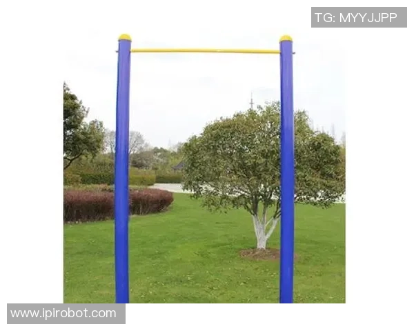 练肩的健身器材：适合训练肩部肌肉的健身器材种类与动作